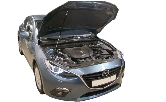 Газовые упоры (амортизаторы) капота Autoinnovation для Mazda 3 (2013-2019)