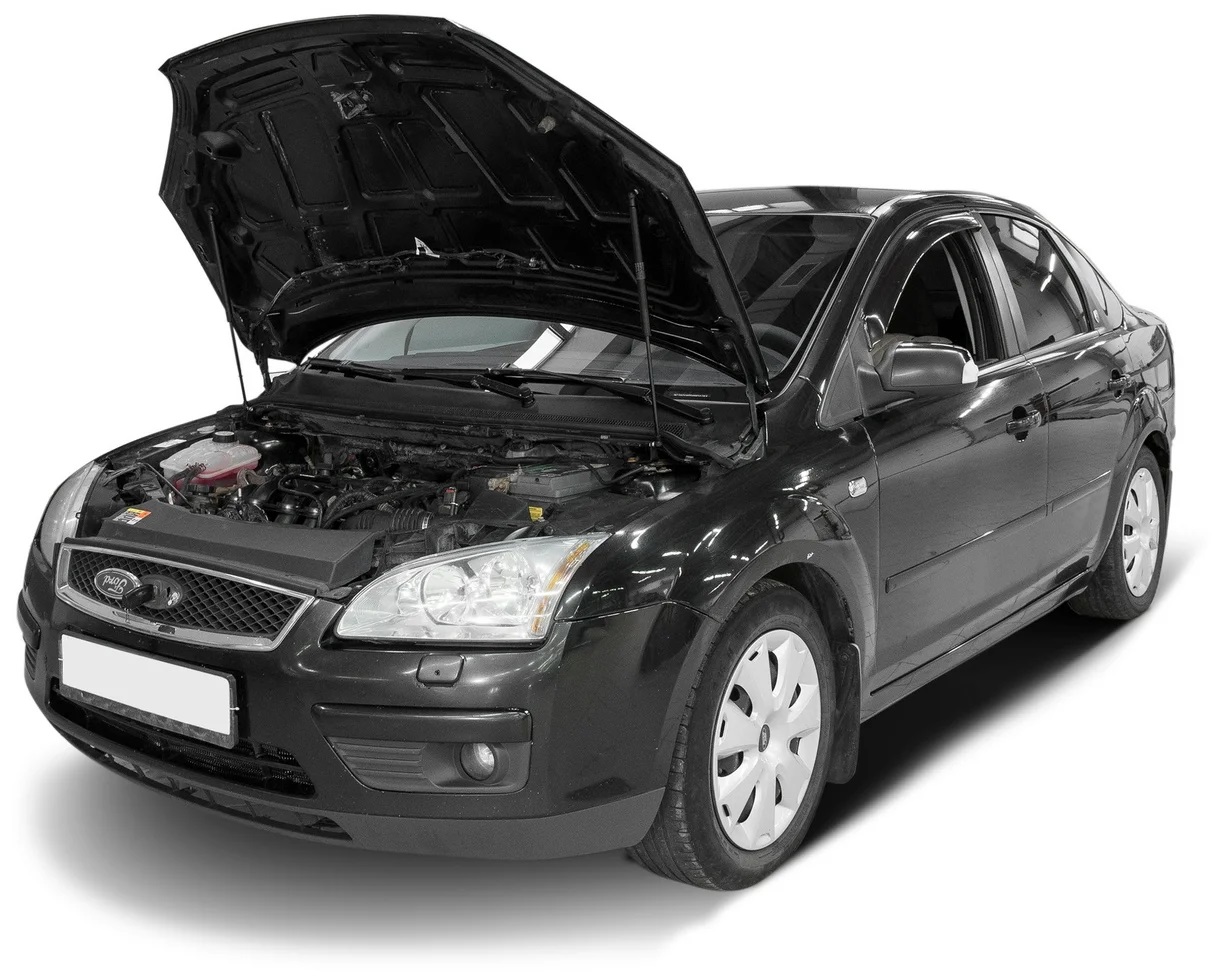 Газовые упоры (амортизаторы) капота АвтоУпор для Ford Focus (2005-2008)